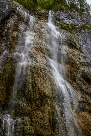 Wsf wolfbauer-411-2020-05-18.jpg