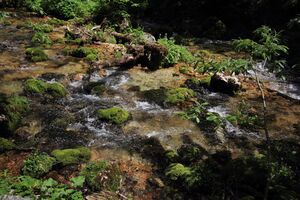 Zimitzbach grundlsee 77287 2018-06-04.jpg