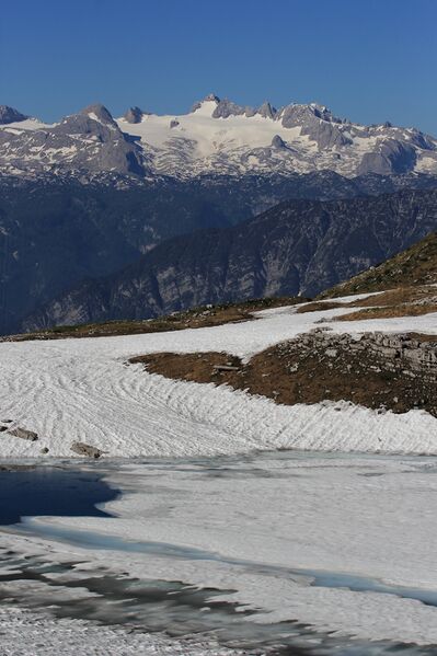 Datei:Augstsee loser 50333 2017-06-11.jpg