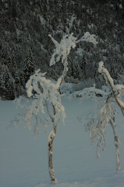 Datei:Bodensee 26472 2014-01-01.jpg