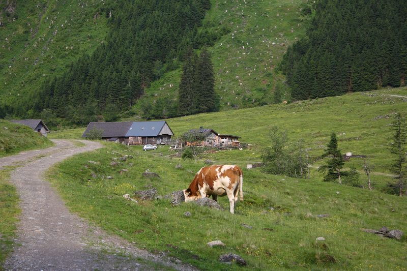 Datei:Bräualm 0937 13-06-27.jpg