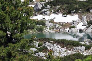 Dreibrüdersee 77403 2018-06-04.jpg