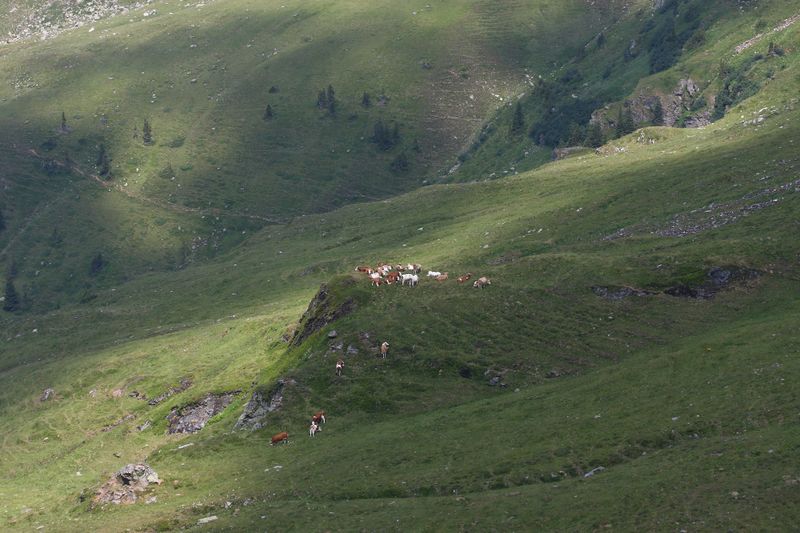 Datei:Glatt 1184 13-08-06.jpg