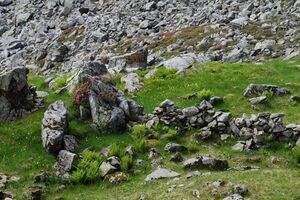 Im stegerkar 23973 2008-07-09.jpg