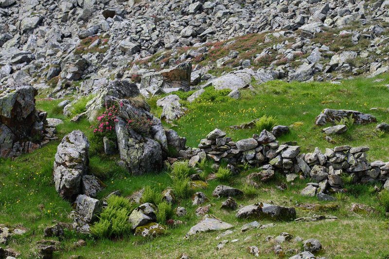 Datei:Im stegerkar 23973 2008-07-09.jpg