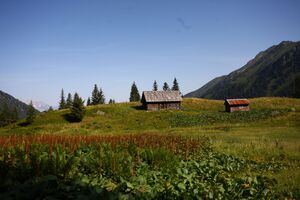 Karlhütte 988 13-08-05.jpg