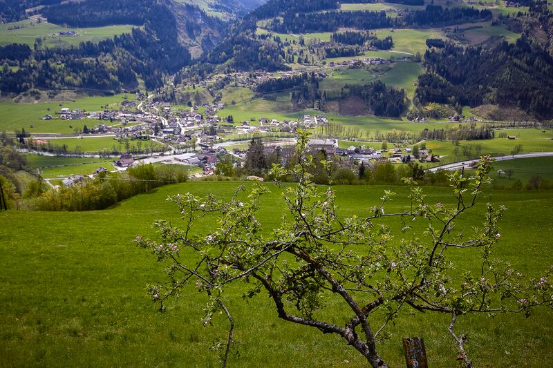 Datei:Klemmer kunagrünberg-100-2020-04-28-2.jpg