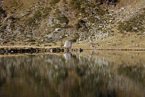 Rantensee 75028 2014-10-19.jpg