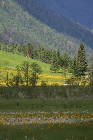 Tettermoor 2198 2009-05-29.jpg
