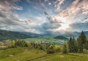 2017-05-07 DSC9406-Bearbeitet.jpg