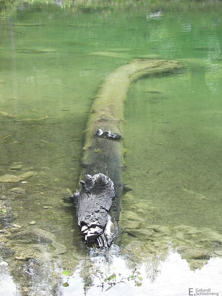 Datei:Ahornsee100 6915.jpg