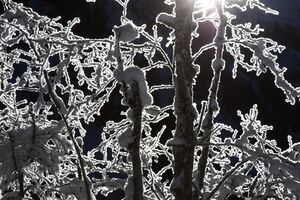 Bodensee 26587 2014-01-01.jpg