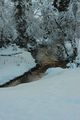 Bodenseerbach 26711 2014-01-01.jpg