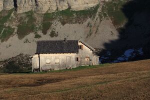 Bräuningalm 50218 2017-06-11.jpg