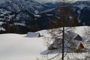 Gössleralm-salzofen 2612 2008-02-04.jpg