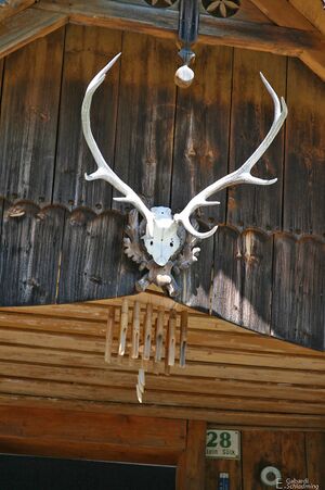 Höflechner vlg schwoager0004.jpg