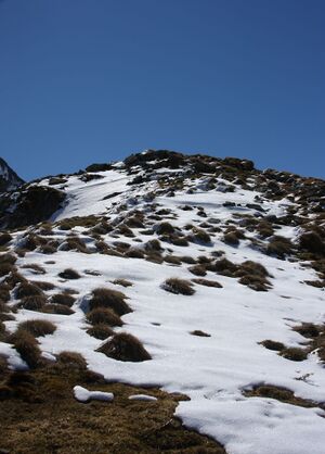 Hading 22304 2016-04-30.jpg