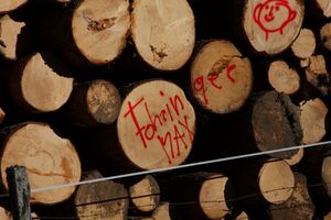 Holzstoß tauerngold 38381 2011-10-31.jpg