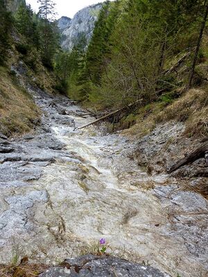 Humlechnergraben 54630 2014-04-27.JPG