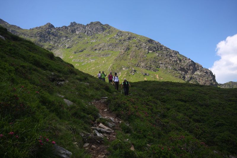 Datei:Innere alm 1528 2011-07-10.jpg