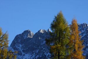 Kammspitze -viehbergalm 12892 2015-10-27.jpg