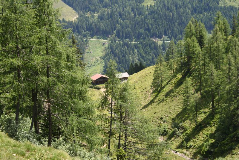 Datei:Ob. moseralm 94055 2015-06-26.jpg