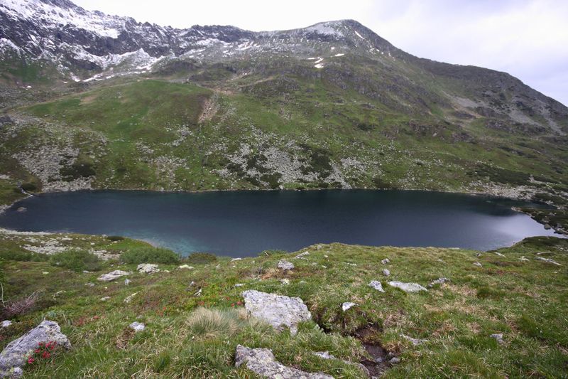 Datei:Schimpelsee Brachen 1479 13-06-27.jpg