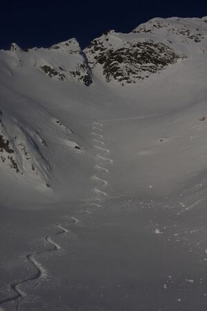 Schnabelkar 77415 2011-02-02.jpg