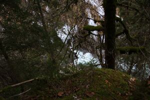 Strubschlucht 34560 2014-01-20.jpg