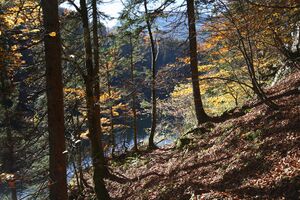 Toplitzsee 77746 2014-11-03.jpg