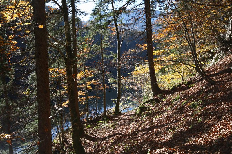 Datei:Toplitzsee 77746 2014-11-03.jpg