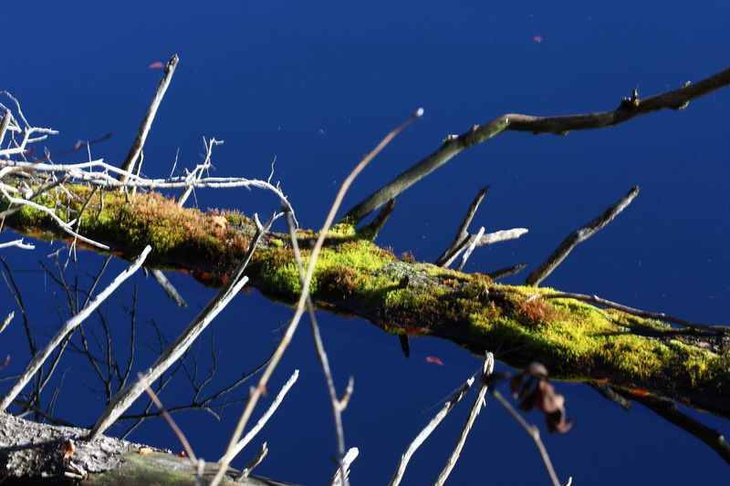 Datei:Toplitzsee 77768 2014-11-03.jpg