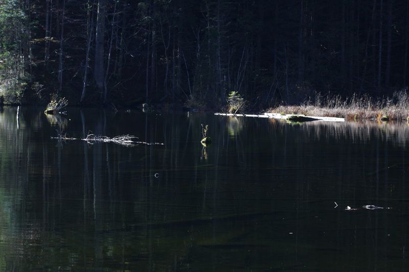 Datei:Toplitzsee 77783 2014-11-03.jpg