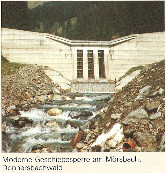 Datei:Wildbachverbauung Donnersbachwald.jpg