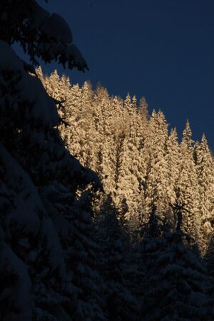 Zur ob.moseralm-preunegg 94309 2007-11-28.jpg