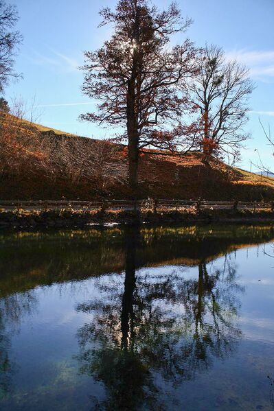 Datei:Almseeteich burgstaller 13944 2015-11-12.jpg