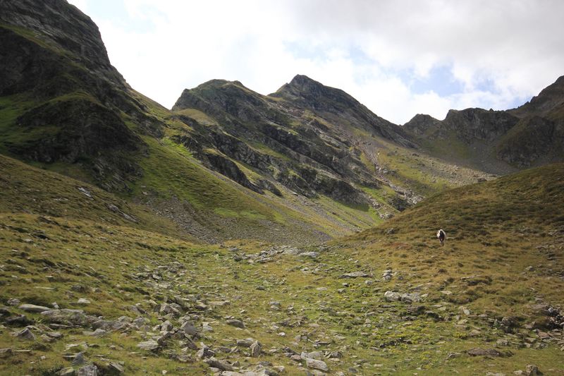 Datei:Breberz keinprecht 56138 2017-08-22.jpg