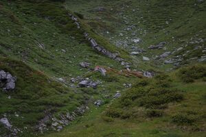 Brotrinndl 2680 2011-07-20.jpg