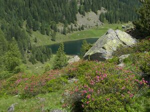 Duisitzkarsee 16023 2006-07-03.jpg