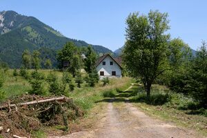 Hinterauer Hinterau 7-0673-2025-06-18.jpg