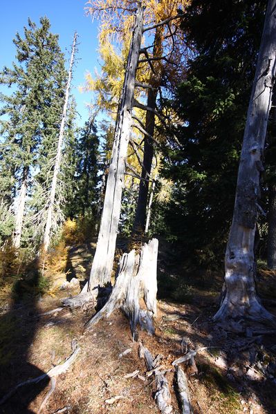 Datei:Hochknall 10931 2015-10-27.jpg