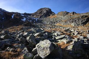 Kühkar 35374 2016-11-01.jpg