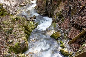 Mühlbach lessern-0320-2023-04-22.jpg