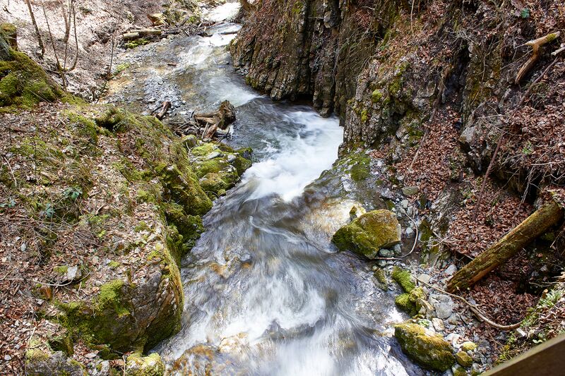 Datei:Mühlbach lessern-0320-2023-04-22.jpg