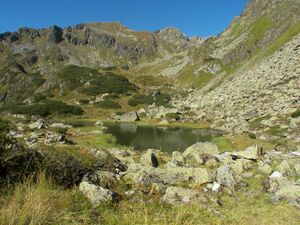 Mittlere Kaltenbachsee 18075 2006-09-10.jpg