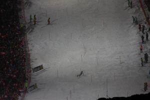 Nightrace 2014 39789 2014-01-28.jpg