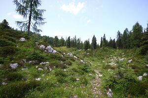 Rotböden-kemetgebirge 97183 2015-07-16.jpg