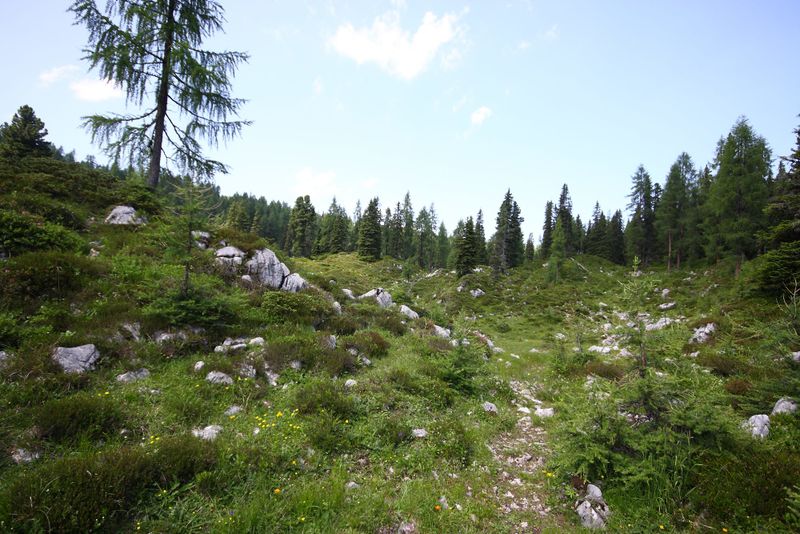 Datei:Rotböden-kemetgebirge 97183 2015-07-16.jpg