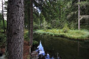 Salleitnerteich Oberhausberg 57585 2017-09-15.jpg