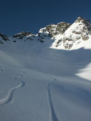 Schnabelkar vetternspitz 42783 2005-01-16.jpg